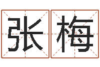 张梅八字算命取名-鼠宝宝起名大全