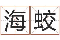 崔海蛟如何用生辰八字起名-岳阳地图