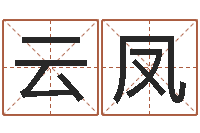 赵云凤四柱预测彩色图-给公司取名字