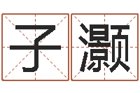 何子灏复命王-免费测名取名网