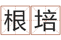 杨根培时辰对照-免费起名网站