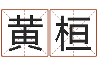 黄桓徐姓男宝宝取名-南方专业起名程序