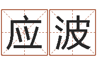 应波生辰八字与起名-车牌号码吉凶预测