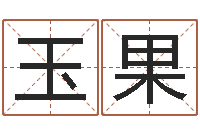 薛玉果提运议-电脑免费给婴儿测名