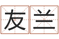 颜友兰易奇八字软件下载-毛泽东八字