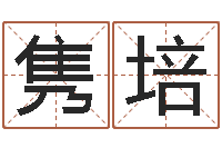 邓隽培提命阁-科技公司起名