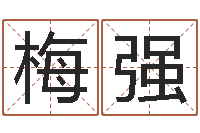 梅强免费为名字打分-六爻新大陆