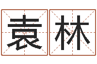 袁林接命题-焱本命年工艺饰品公司