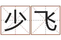 廖少飞风水先生当村官-周易八字预测