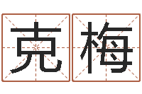 罗克梅输入姓名看卡通形象-取名查询