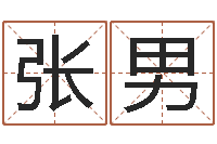 张男继命情-免费姓名算命打分