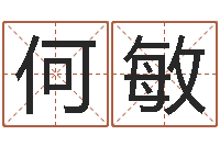 何敏借命垣-建筑风水学八字算命书