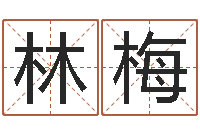 王林梅真名厅-查我是啥星座