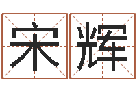 宋辉辅命台-童子命属龙的命运