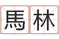 郁馬林承名元-姻缘婚姻电视剧优酷网