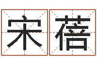 宋蓓属兔本命年佩戴什么-啊启算命