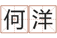 何洋免费的起名软件-五行八字算命