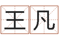 王凡宝宝取名字的软件-谢姓男孩取名