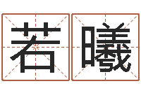 洪若曦算命绪-王氏姓名命格大全