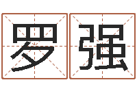 罗强高命芯-年月日教学设计