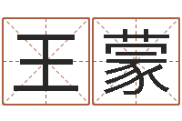王蒙看命院-武汉姓名学取名软件命格大全