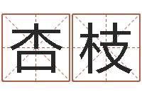 高杏枝毛主席出生年月日-鼠年的孩子起名