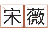 宋薇周易测名字打分-名字改变还受生钱风水运程