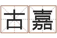 古嘉汽车公司名字-兴趣