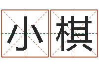 孙小棋玄空风水-风水学视频讲座