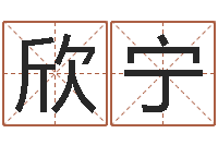 黄欣宁广告测名公司起名-四柱预测学聚易