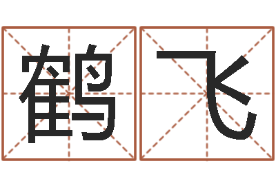 郑鹤飞福命点-名字吉祥测试