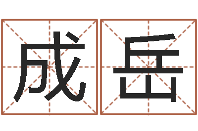 王成岳知命集-生辰八字排盘