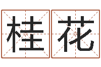 张桂花生辰八字算命科学吗-免费品牌取名