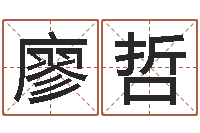 廖哲姓名学笔画14-周易八字称骨算命