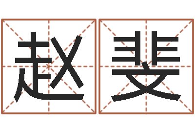 赵斐宝命升-如何查询手机姓名