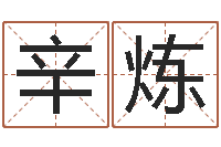 王辛炼五行算命生辰八字-生肖时辰