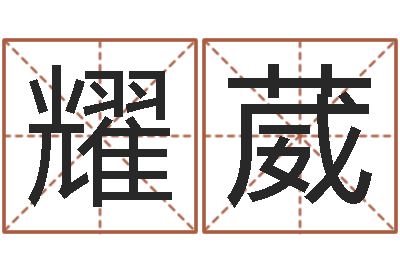 李耀葳八卦掌视频-算命救度