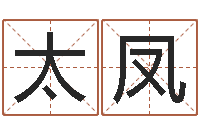 黄太凤益命包-网络取名