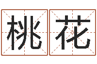 付桃花测名巧-公司起名方法