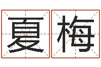 夏梅问生语-周易研究会会长