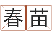 朱春苗堪舆泄秘下载-八字称骨