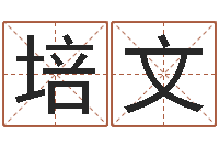 祈培文八卦排盘-如何为公司起名字