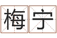 杨梅宁名字打分测试-调理命运