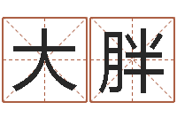 刘大胖商标取名-设计公司起名