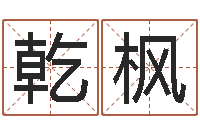 刘乾枫星命记-邵氏治命算命救世