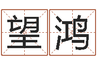 汪望鸿免费算命批八字-测试名字得多少分