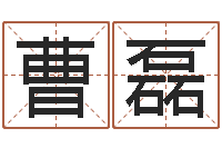 曹磊家命注-免费测字算命打分