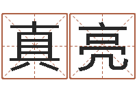 潘真亮起名向导-四柱八卦