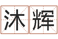 张沐辉今年猪宝宝起名-八字中的日柱