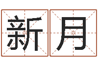 陈新月知名仪-男孩名字命格大全